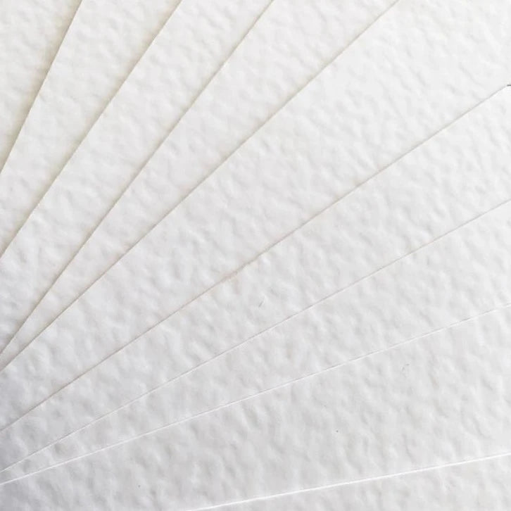Zebra Texture Snow White Paper