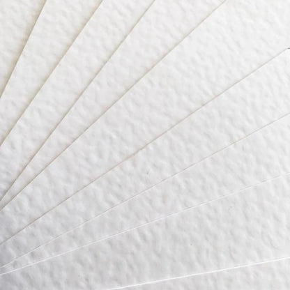 Zebra Texture Snow White Paper