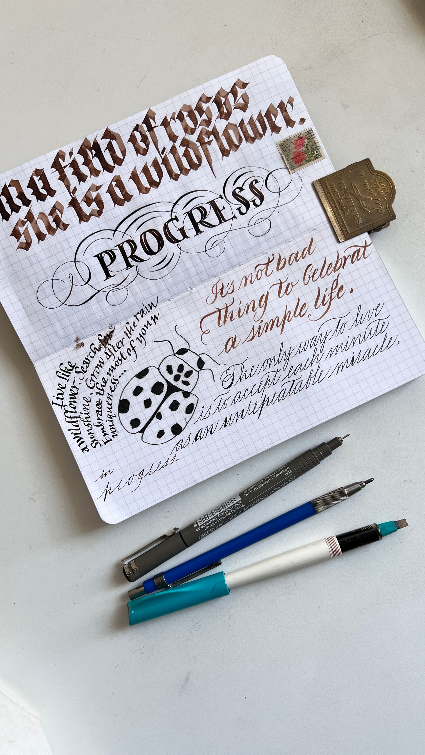 Fountain Pen - Oriandcalli