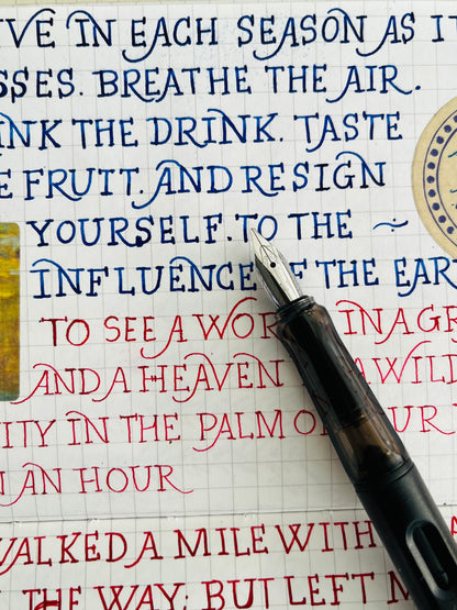 Calligraphy cut nib pen set